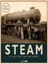 Steam (MP3)